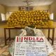 NDLEA Recovers 112kg of Cannabis After Road Accident in Kano
