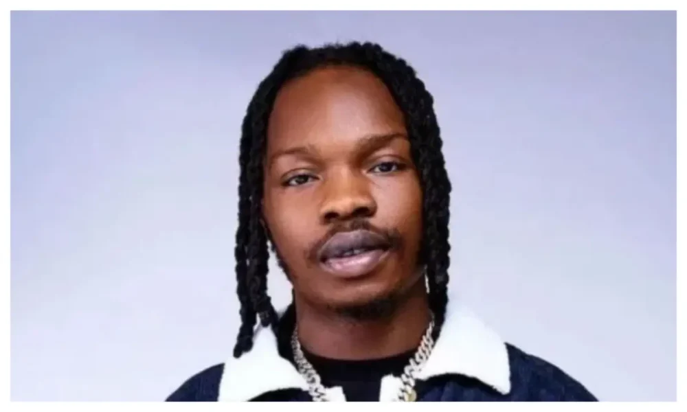 Naira Marley Survives On-Stage Attack During Concert in Cotonou