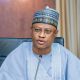 Kaduna Governor Links Poverty, Unemployment to Northern Insecurity Crisis