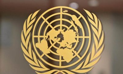 UN Condemns Borno Massacre, Calls for Justice After 63 Lives Lost