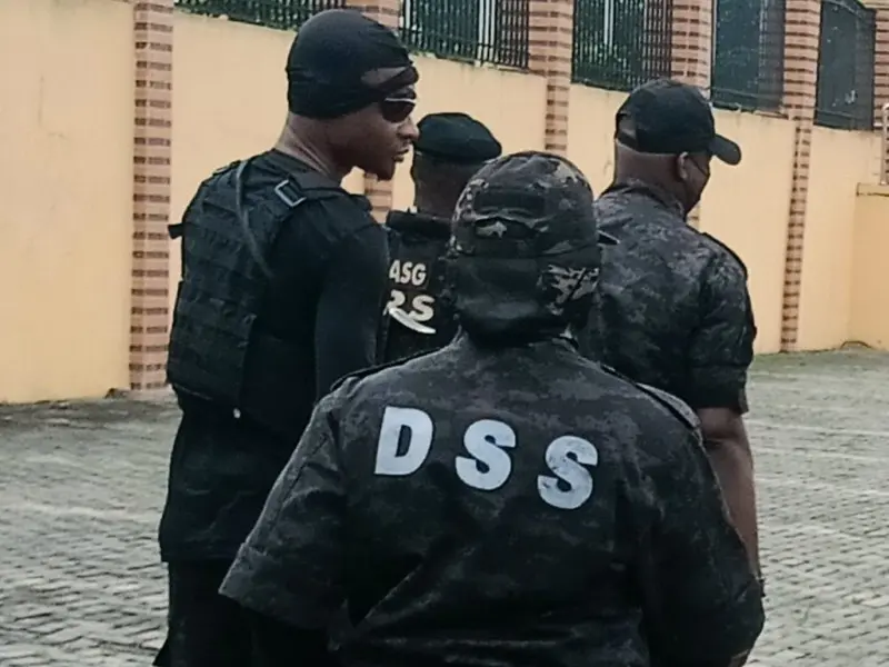 DSS 1