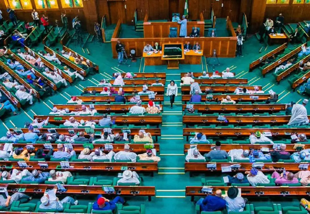 Nigerian Parliament Demands Immediate Security Surge in Sokoto State as Banditry Intensifies Near Niger Border 25 House of Reps 1