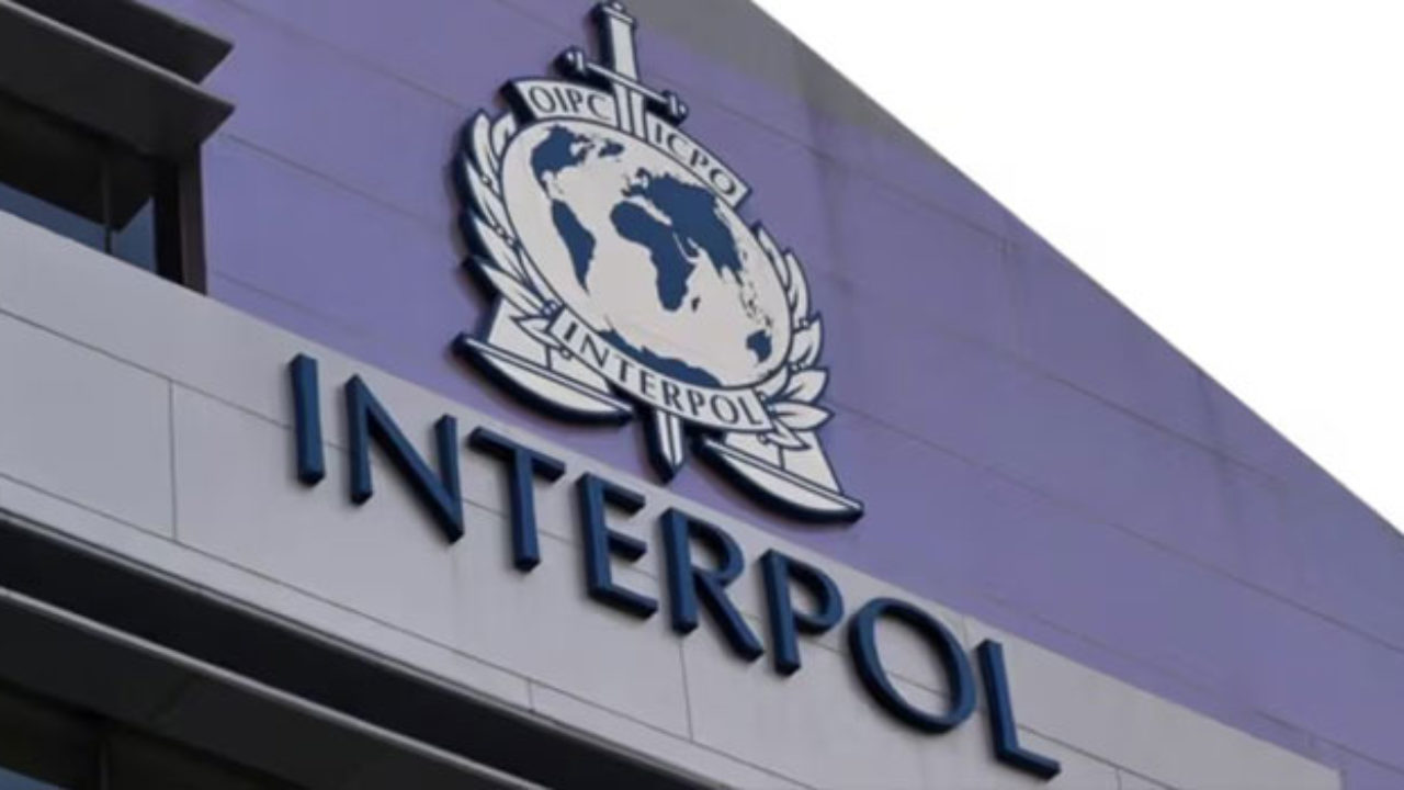 INTERPOL: 11 'High-Level' Terror Suspects Apprehended in Nigeria 25 INTERPOL