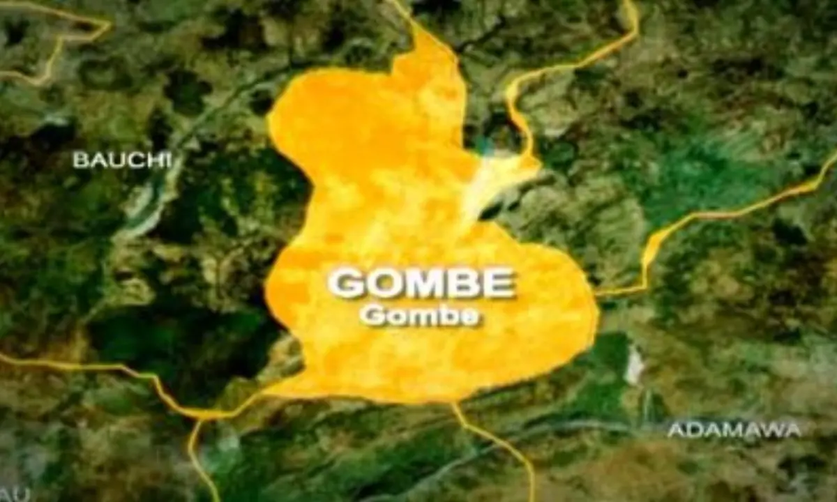 Gombe: Gunmen Kill Herder In Funakaye LGA, Flee With Phone 25 MixCollage 31 Mar 2025 07 00 AM 8459