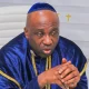 Primate Ayodele 1536x1024 1