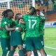 Super Eagles