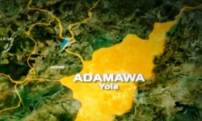 adamawa