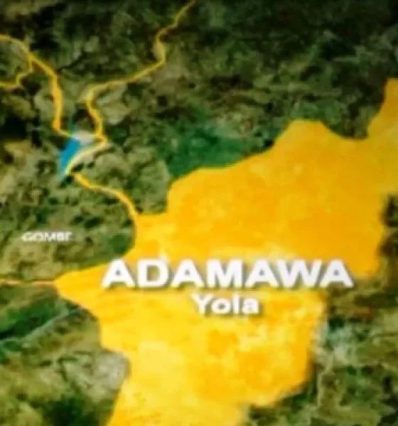 adamawa