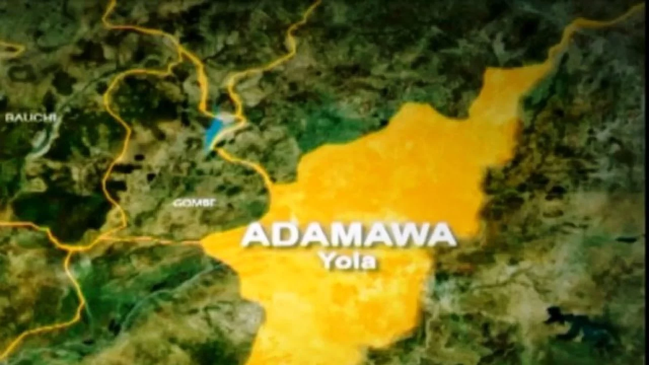 Buruli Ulcer Resurfaces in Adamawa, 23 Patients Hospitalized with Flesh-Eating Disease 25 adamawa